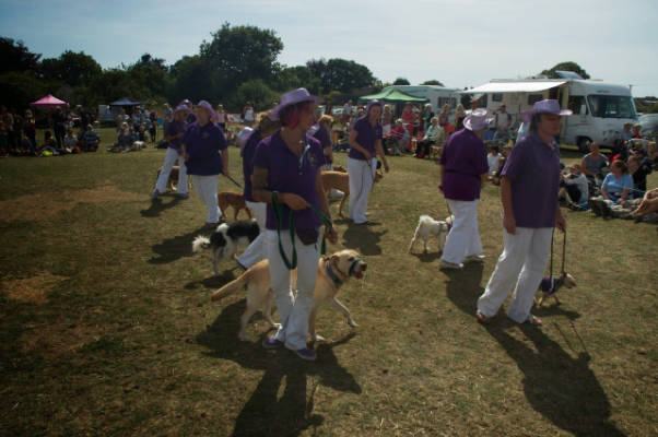 Friendly Dog Club gallery image