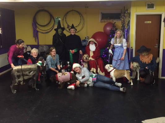 Friendly Dog Club gallery image