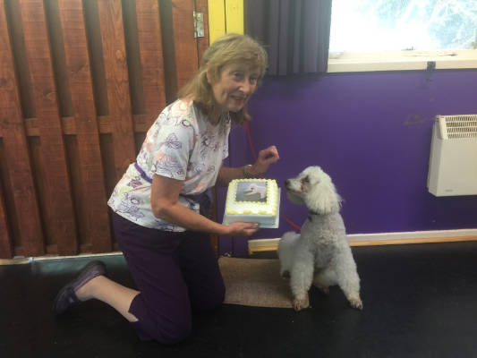 Friendly Dog Club gallery image