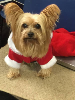 Friendly Dog Club gallery image