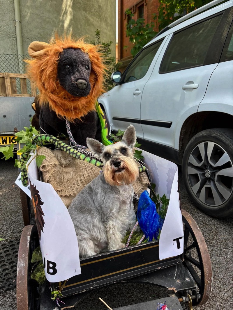 Lions Club Carnival May 2026