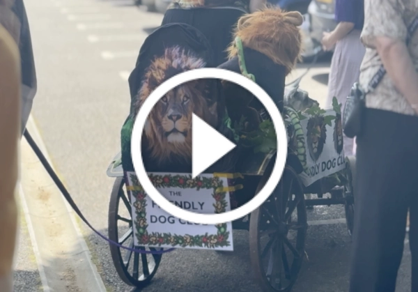Lions Club Carnival May 2026 video